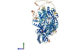 AlphaFold protein structure predicition of Mouse Recombinant Dhx30 Protein, UniprotID Q99PU8
