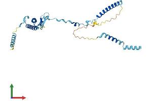 AlphaFold protein structure predicition of Human Recombinant ISY1 Protein, UniprotID Q9ULR0