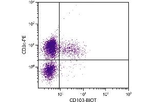 BALB/c mouse mesenteric lymph node cells were stained with Hamster Anti-Mouse CD103-BIOT.