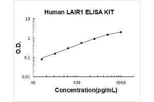 Leukocyte-Associated Immunoglobulin-Like Receptor 1 (LAIR1) ELISA Kit