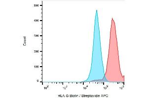 Surface staining of HLA-G in HLA-G1 transfectants with anti-HLA-G biotin / streptavidin-APC.
