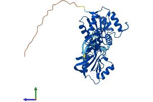 AlphaFold protein structure predicition of Human Recombinant NIF3L1 Protein, UniprotID Q9GZT8