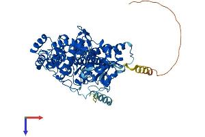 AlphaFold protein structure predicition of Human Recombinant GRK5 Protein, UniprotID P34947