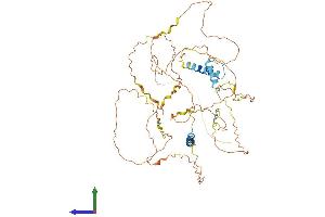AlphaFold protein structure predicition of Mouse Recombinant Fam149b1 Protein, UniprotID Q6NSV7