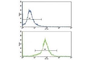 anti-Superoxide Dismutase 3, Extracellular (SOD3) (AA 7-36) antibody