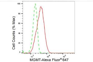 Flow cytometric analysis of MGMT expression in HeLa cells using MGMT antibody (ABIN7799697), 1:2,000). (Recombinant MGMT anticorps)