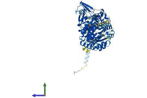 AlphaFold protein structure predicition of Human Recombinant MGAT5 Protein, UniprotID Q09328