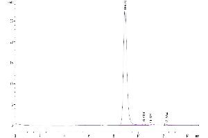The purity of Mouse Siglec-3 is greater than 95 % as determined by SEC-HPLC. (CD33 Protein (CD33) (AA 18-240) (His tag))