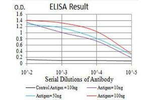 Black line: Control Antigen (100 ng), Purple line: Antigen(10 ng), Blue line: Antigen (50 ng), Red line: Antigen (100 ng),