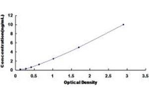 Typical standard curve (DHODH Kit ELISA)