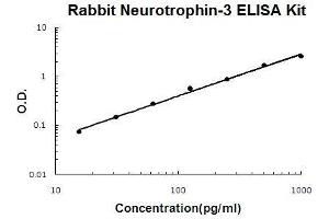 Rabbit Neurotrophin-3 PicoKine ELISA Kit standard curve