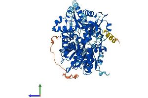 AlphaFold protein structure predicition of Human Recombinant DHX35 Protein, UniprotID Q9H5Z1