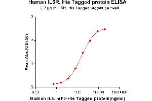 ELISA plate pre-coated by 2 μg/mL (100 μL/well) Human IL6R, His tagged protein (ABIN6964085, ABIN7042425 and ABIN7042426) can bind Human IL6, mFc-His tagged protein ABIN6961105, ABIN7042239 and ABIN7042240 in a linear range of 0.
