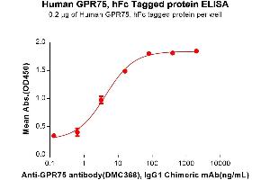 ELISA plate pre-coated by 2 μg/mL (100 μL/well) Human Protein, hFc Tag (ABIN7455424, ABIN7490705 and ABIN7490707) can Anti- antibody, IgG1 Chimeric mAb in a linear range of 0.