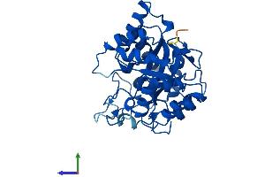 AlphaFold protein structure predicition of Human Recombinant AKR1C3 Protein, UniprotID P42330