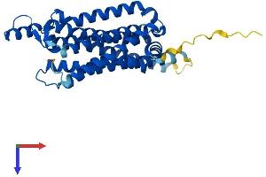 AlphaFold protein structure predicition of Mouse Recombinant Adora1 Protein, UniprotID Q60612