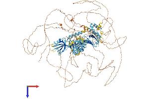 AlphaFold protein structure predicition of Mouse Recombinant Il16 Protein, UniprotID O54824