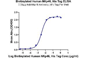 Immobilized Anti-Nkp46 Antibody, hFc Tag at 0.