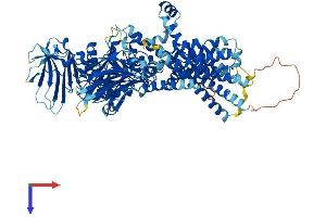AlphaFold protein structure predicition of Mouse Recombinant Pgap1 Protein, UniprotID Q3UUQ7