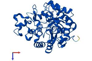 AlphaFold protein structure predicition of Mouse Recombinant Pter Protein, UniprotID Q60866