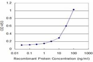 anti-Nephroblastoma Overexpressed (NOV) (AA 1-357) antibody