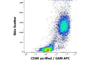 Flow cytometry surface staining pattern of human peripheral whole blood stained using anti-human CD88 (S5/1) purified antibody (concentration in sample 3 μg/mL, GAM APC).