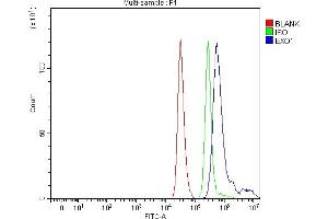 Flow Cytometry analysis of THP-1 cells using anti-Exonuclease 1/EXO1 antibody (ABIN7599229).