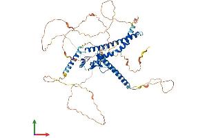 AlphaFold protein structure predicition of Mouse Recombinant Mlph Protein, UniprotID Q91V27
