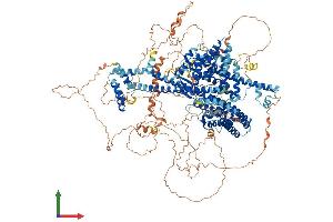 AlphaFold protein structure predicition of Human Recombinant GAPVD1 Protein, UniprotID Q14C86