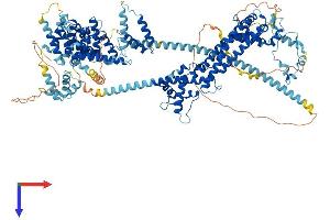 AlphaFold protein structure predicition of Mouse Recombinant Daam1 Protein, UniprotID Q8BPM0