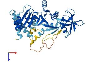 AlphaFold protein structure predicition of Mouse Recombinant Drg2 Protein, UniprotID Q9QXB9