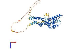 AlphaFold protein structure predicition of Human Recombinant DEDD Protein, UniprotID O75618