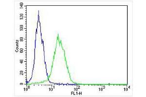 Overlay histogram showing HT-29 cells stained with (ABIN6242830 and ABIN6577992) (green line).