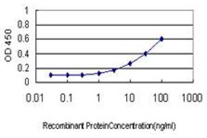 Detection limit for recombinant GST tagged NODAL is approximately 0. (Nodal anticorps  (AA 275-346))