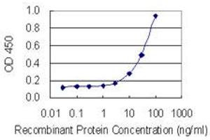 Detection limit for recombinant GST tagged PLG is 1 ng/ml as a capture antibody.