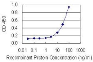 Detection limit for recombinant GST tagged PLG is 1 ng/ml as a capture antibody. (PLG anticorps  (AA 21-120))