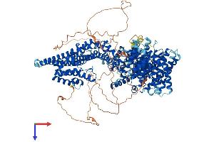 AlphaFold protein structure predicition of Human Recombinant STAG1 Protein, UniprotID Q8WVM7