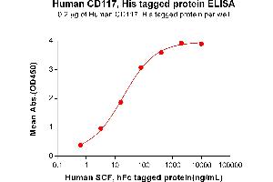ELISA plate pre-coated by 1 μg/mL (100 μL/well) Human CD117, His tagged protein (ABIN6964116, ABIN7042487 and ABIN7042488) can bind Human SCF, hFc tagged protein ABIN7092726, ABIN7272264 and ABIN7272265 in a linear range of 3.