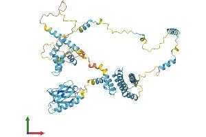 AlphaFold protein structure predicition of Mouse Recombinant Gtf2h1 Protein, UniprotID Q9DBA9