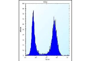ND3 Antibody (N-term) (ABIN656244 and ABIN2845561) flow cytometric analysis of K562 cells (right histogram) compared to a negative control cell (left histogram).
