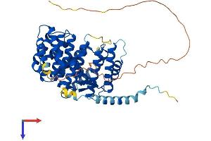 AlphaFold protein structure predicition of Human Recombinant IFRD1 Protein, UniprotID O00458