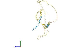 AlphaFold protein structure predicition of Mouse Recombinant Nucks1 Protein, UniprotID Q80XU3