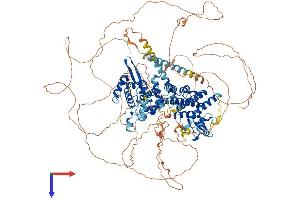 AlphaFold protein structure predicition of Human Recombinant RC3H1 Protein, UniprotID Q5TC82