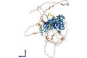 AlphaFold protein structure predicition of Human Recombinant SYDE1 Protein, UniprotID Q6ZW31