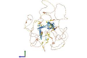 AlphaFold protein structure predicition of Human Recombinant SYNPO2L Protein, UniprotID Q9H987