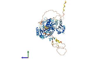 AlphaFold protein structure predicition of Human Recombinant ESRP2 Protein, UniprotID Q9H6T0