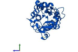 AlphaFold protein structure predicition of Human Recombinant PUDP Protein, UniprotID Q08623