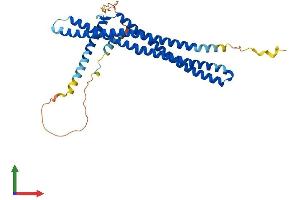 AlphaFold protein structure predicition of Mouse Recombinant Arfip2 Protein, UniprotID Q8K221