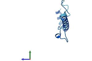AlphaFold protein structure predicition of Human Recombinant NDUFA4 Protein, UniprotID O00483