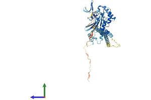 AlphaFold protein structure predicition of Mouse Recombinant Septin10 Protein, UniprotID Q8C650